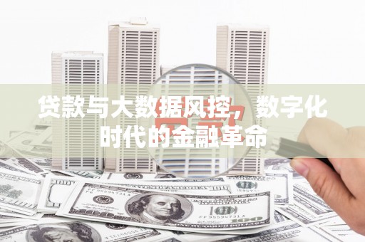 任城贷款与大数据风控，数字化时代的金融革命