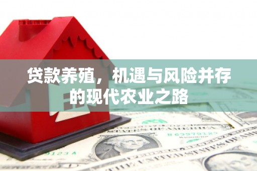线西贷款养殖，机遇与风险并存的现代农业之路