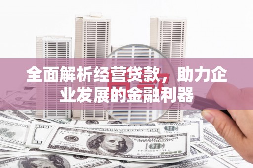 盐埕全面解析经营贷款，助力企业发展的金融利器