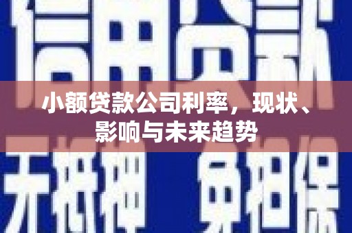 阳春小额贷款公司利率，现状、影响与未来趋势