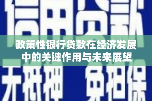 双柏政策性银行贷款在经济发展中的关键作用与未来展望