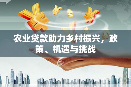 恒山农业贷款助力乡村振兴，政策、机遇与挑战