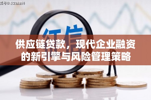 双台子供应链贷款，现代企业融资的新引擎与风险管理策略