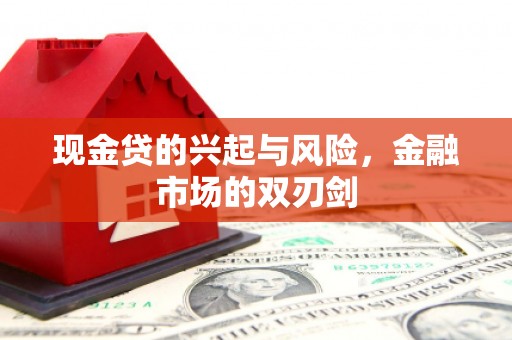 天水现金贷的兴起与风险，金融市场的双刃剑