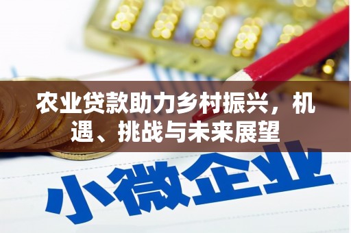 盖州农业贷款助力乡村振兴，机遇、挑战与未来展望