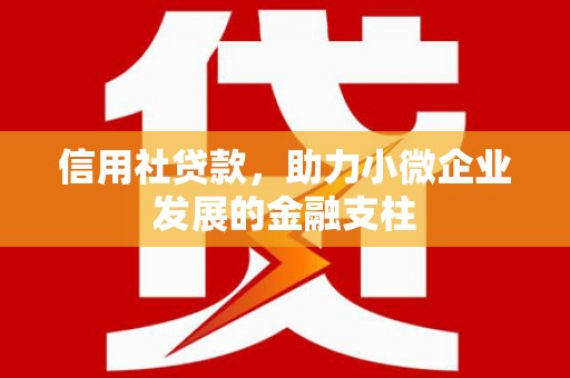 富川信用社贷款，助力小微企业发展的金融支柱