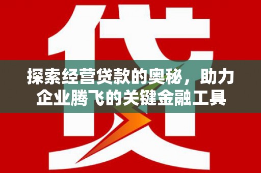 伊宁探索经营贷款的奥秘，助力企业腾飞的关键金融工具
