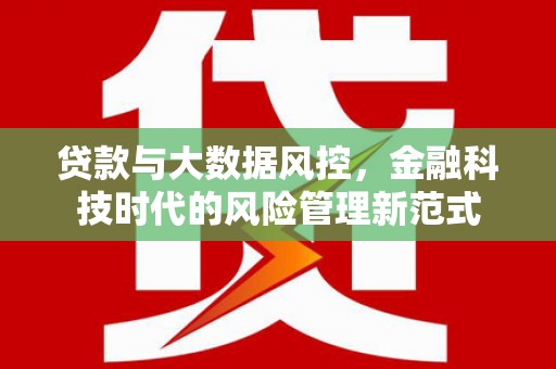 四湖贷款与大数据风控，金融科技时代的风险管理新范式