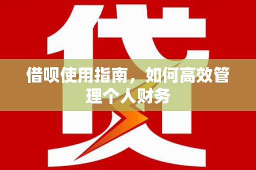 武义借呗使用指南，如何高效管理个人财务