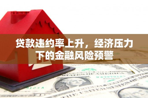 山南贷款违约率上升，经济压力下的金融风险预警