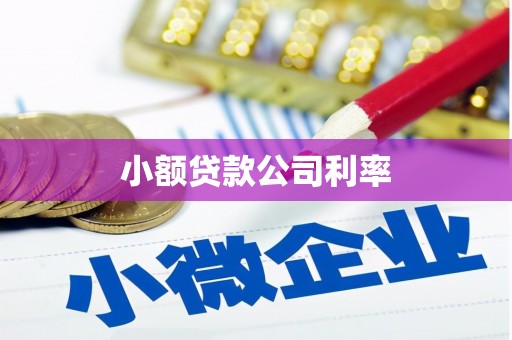 静宁小额贷款公司利率