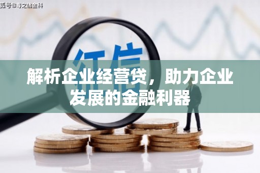 大安解析企业经营贷，助力企业发展的金融利器