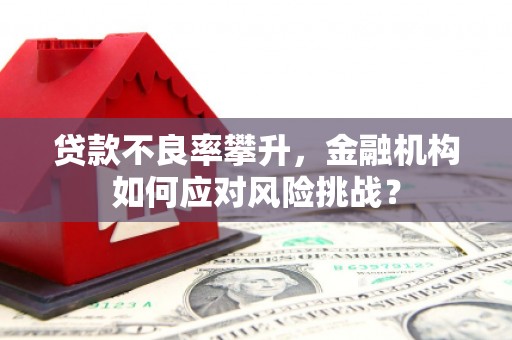 木兰贷款不良率攀升，金融机构如何应对风险挑战？