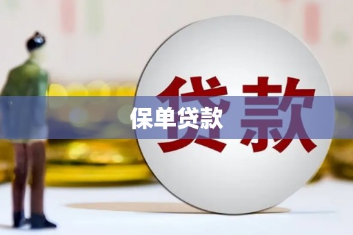 始兴保单贷款