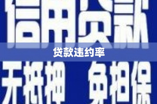 嵊州贷款违约率