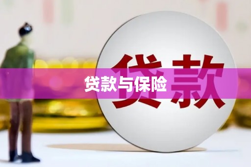 民和贷款与保险