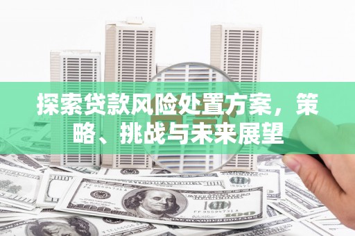 房县探索贷款风险处置方案，策略、挑战与未来展望