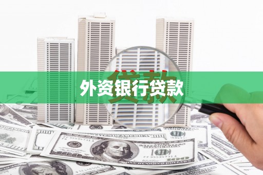 芮城外资银行贷款
