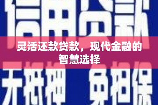 灵宝灵活还款贷款，现代金融的智慧选择