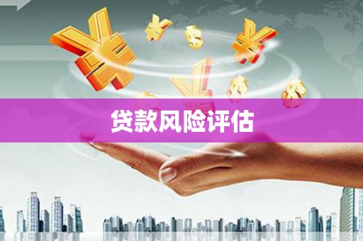 利通贷款风险评估