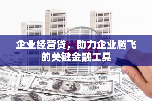 卓尼企业经营贷，助力企业腾飞的关键金融工具