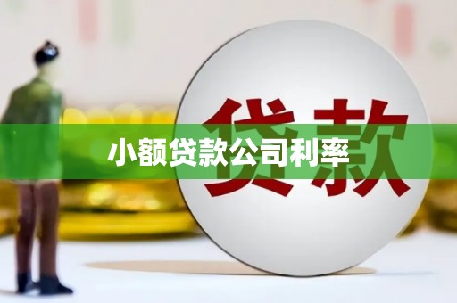 杜集小额贷款公司利率