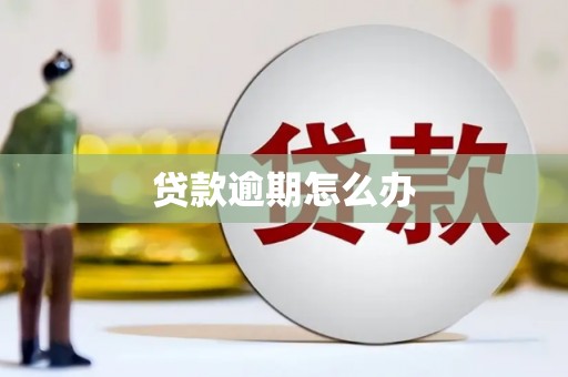 岳麓贷款逾期怎么办