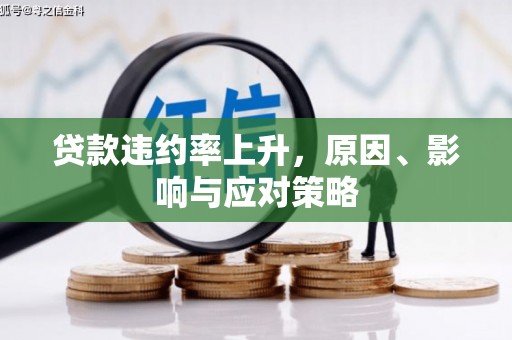 颍泉贷款违约率上升，原因、影响与应对策略