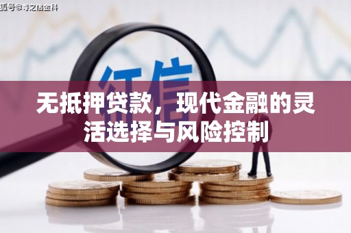 阳春无抵押贷款，现代金融的灵活选择与风险控制