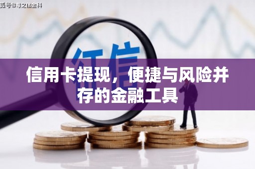 宜州信用卡提现，便捷与风险并存的金融工具