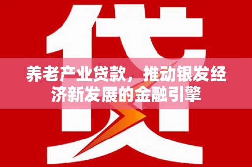 洪雅养老产业贷款，推动银发经济新发展的金融引擎