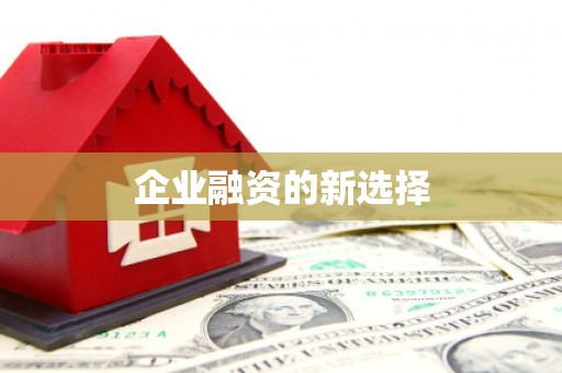 自流井企业融资的新选择