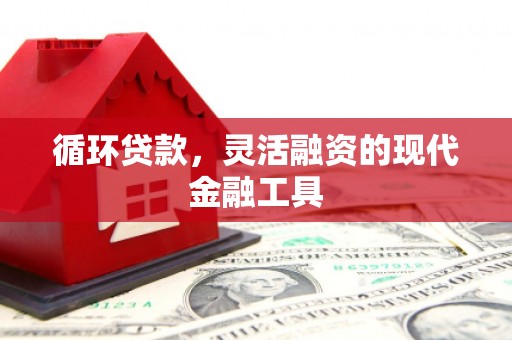 原州循环贷款，灵活融资的现代金融工具