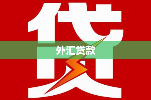 昌乐外汇贷款