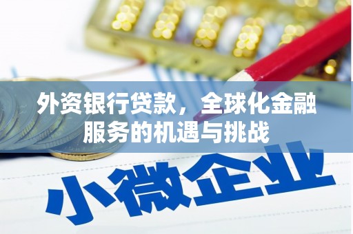 龙川外资银行贷款，全球化金融服务的机遇与挑战