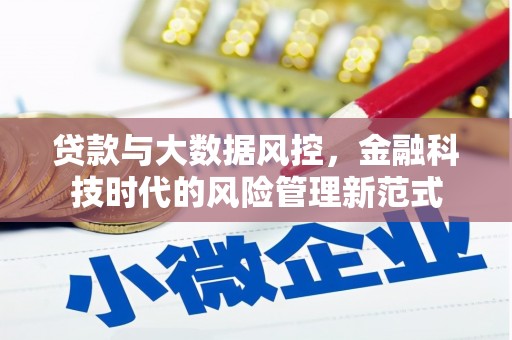 台南贷款与大数据风控，金融科技时代的风险管理新范式