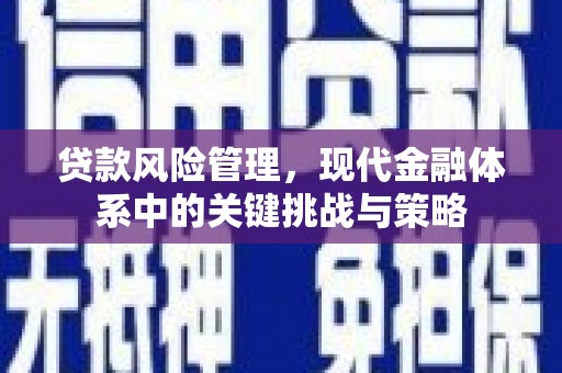 大丰贷款风险管理，现代金融体系中的关键挑战与策略