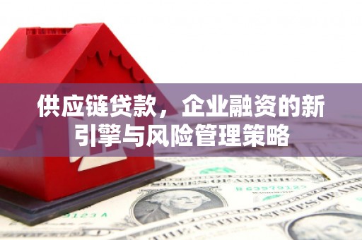 龙沙供应链贷款，企业融资的新引擎与风险管理策略