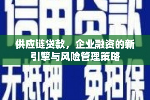 木兰供应链贷款，企业融资的新引擎与风险管理策略