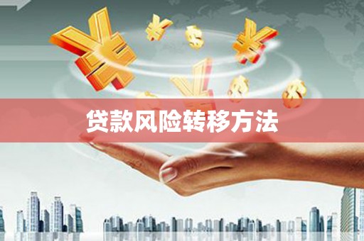 沈丘贷款风险转移方法