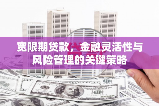 安康宽限期贷款，金融灵活性与风险管理的关键策略