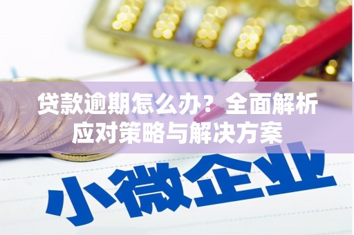 门源贷款逾期怎么办？全面解析应对策略与解决方案