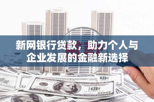 卢氏新网银行贷款，助力个人与企业发展的金融新选择
