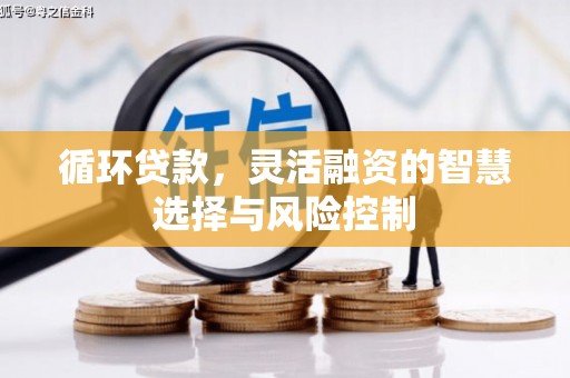 厦门循环贷款，灵活融资的智慧选择与风险控制