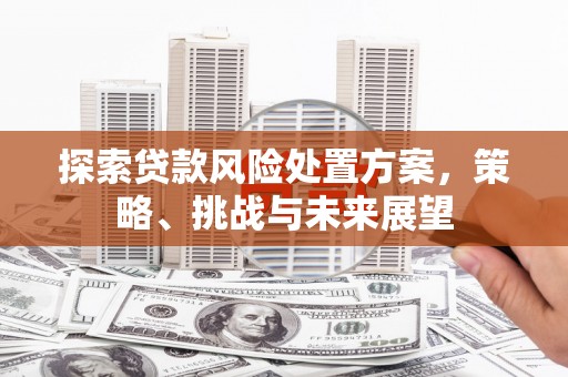 得荣探索贷款风险处置方案，策略、挑战与未来展望