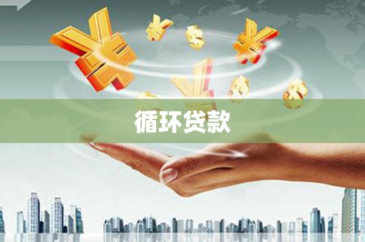 定陶循环贷款