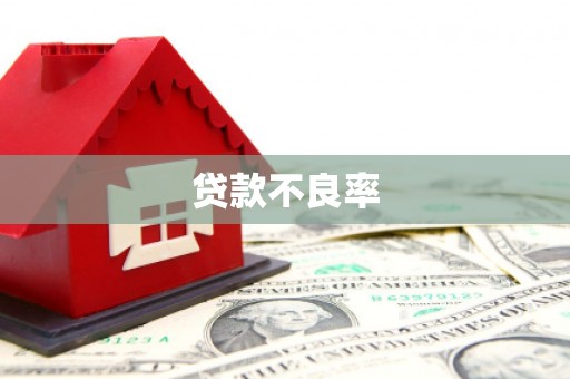 乐东贷款不良率