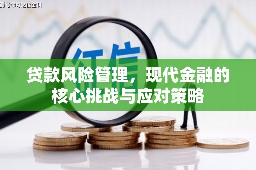 曹妃甸贷款风险管理，现代金融的核心挑战与应对策略