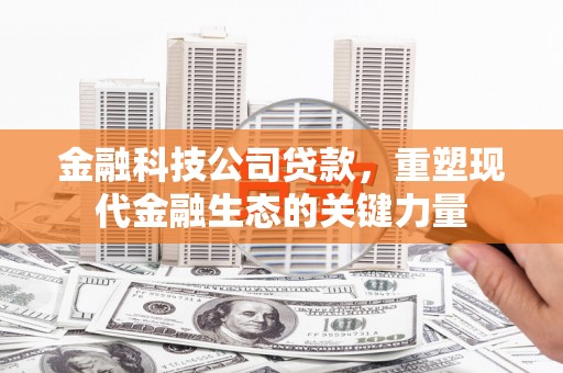 汉寿金融科技公司贷款，重塑现代金融生态的关键力量