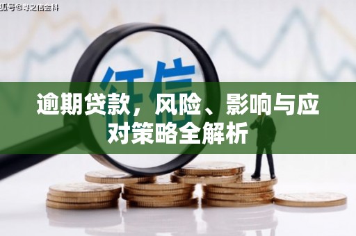 临西逾期贷款，风险、影响与应对策略全解析